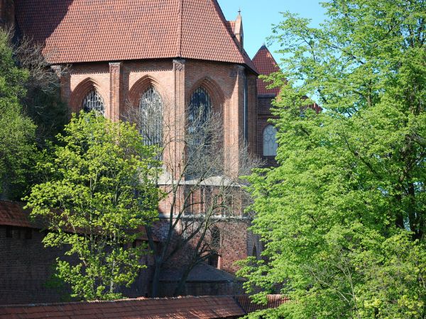 zdjecie Malbork