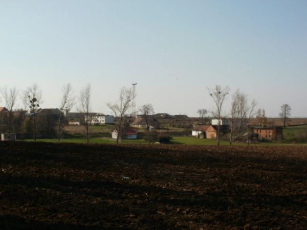 Borzysławice (część majątkowa) panorama
