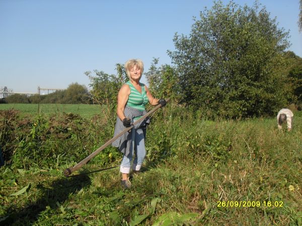 Pani Władzia z kosą w tany ruszyła, a zielsko kładło się niczym dywan