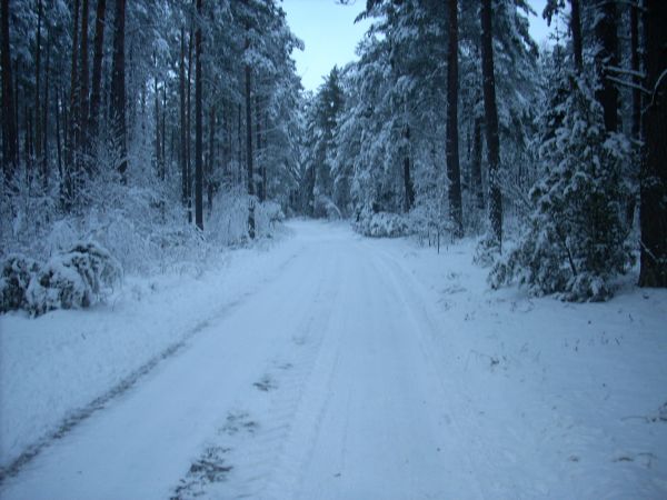 zdjecie Piłatowszczyzna