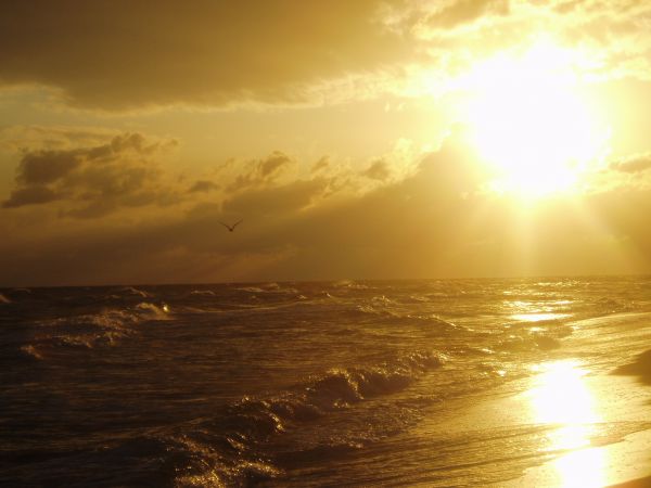 BOROWIAK-Pobierowo wschod slonca.