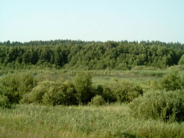 Widok z drgi