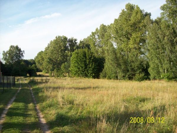 zdjecie Boguchwałowice