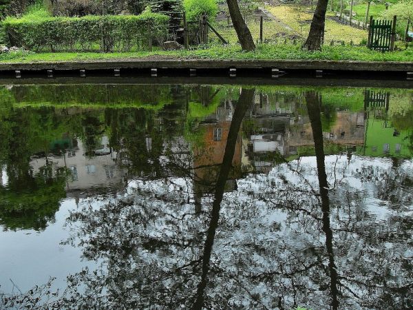 W Starogardzkim Parku nad Wierzycą