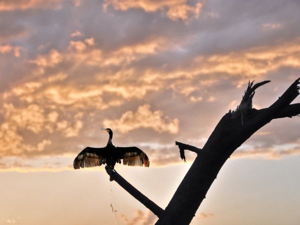 zdjecie Wodzisław Śląski