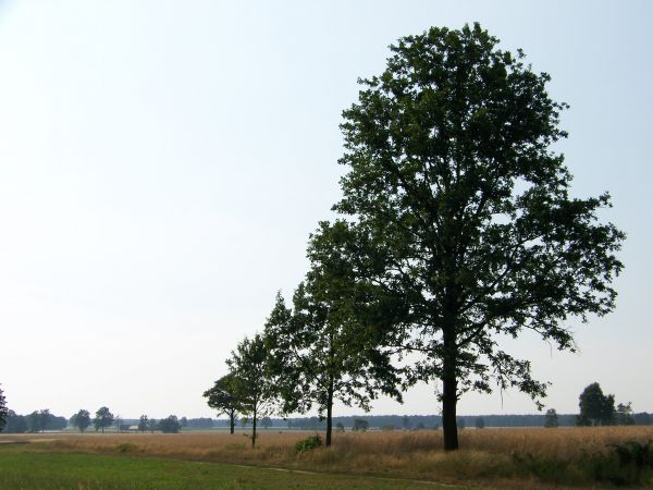 Urokliwy krajobraz miejsca