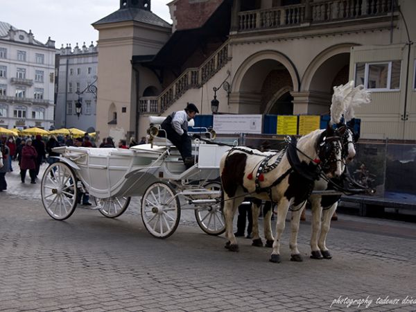 Na krakowskim rynku