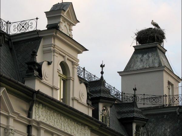 Pałac Buchholtzów - największe (podobno) w Europie gniazdo bocianie