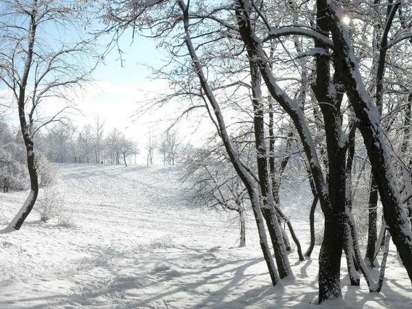 Stoki, fragment parku im. gen. M. Zaruskiego. Ulubione miejsce,  popularnie nazywane "Muszlą", przez młodszą część mieszkańców wykorzystywane do jazdy na sankac