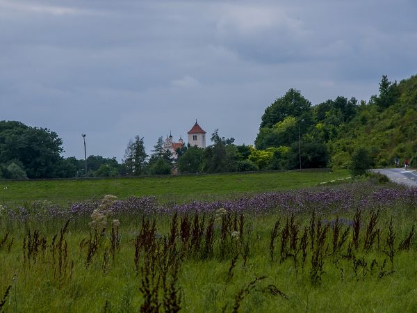 Janowiec