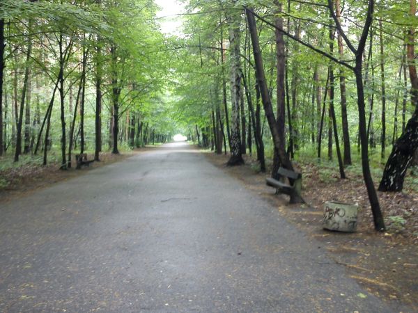 Sosnowiec-Kazimierz Górniczy. Park Leśna.