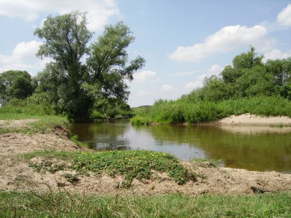 Do tego miejsca nad Liwcem gospodarze Turnej gonią swe krowy do wodopoju