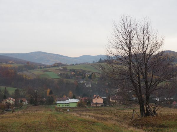ze wzgórza Jaworzyna - 520m npm : widok na fragment wsi a dalej na prawo Góry Czarne a tam g. Kopacz - 536m npm, zaś na lewo Pasmo Sosne a tam zbocze g. Głęboka