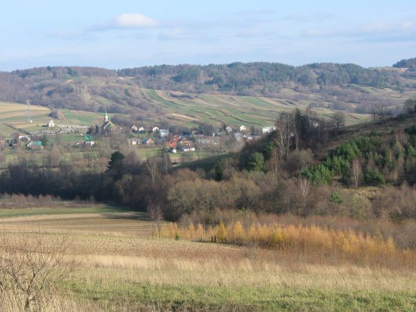 po prawej widać: zbocze Kobylej Góry /458m npm/ i w dolinie potoku wieś, stanowiącą kiedyś własność wojewody wołoskiego pochodzącego z Marmaroszu /Rumunia/ - Na