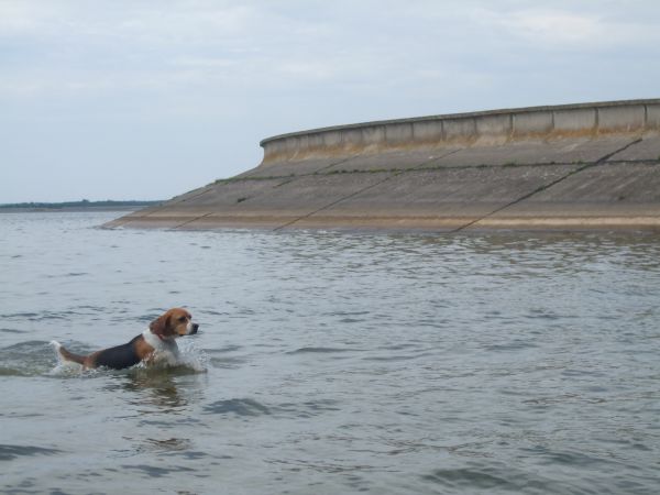 zdjecie Siedlątków