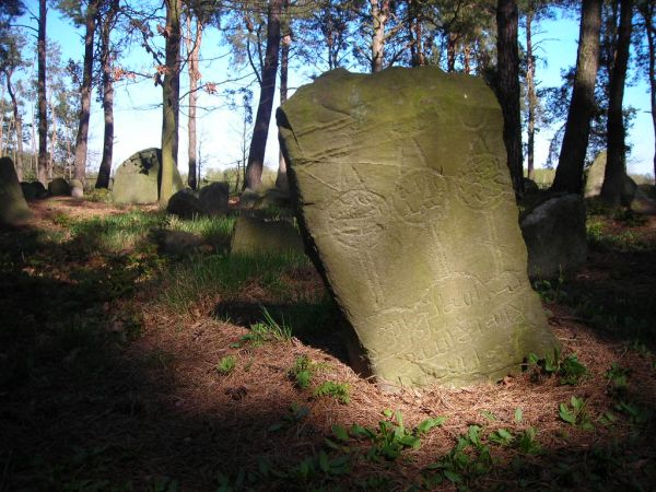 Cmentarz tatarski (mizar) w Studziance