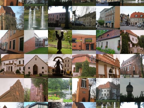 Collage ciekawych miejsc w Szamotułach