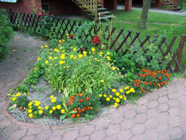 Klombik kwiatowy przed domkiem