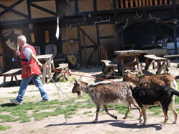 Stare Drawsko - zamek Drahim