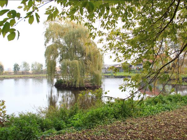 Zespół pałacowo - parkowy w Ożańsku.