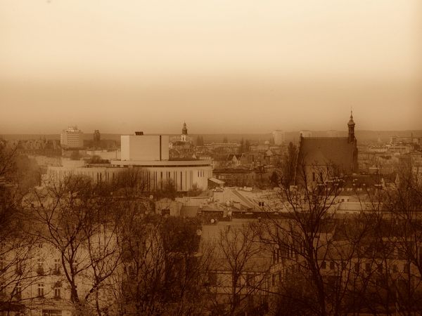 Panorama ze Szwederowa w sepii. 2010 rok