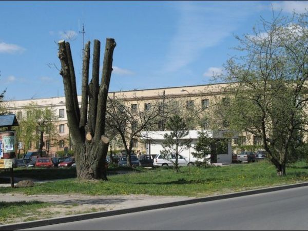 Ulica Krasińskiego.