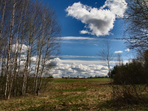 zdjecie Tyniewicze Duże