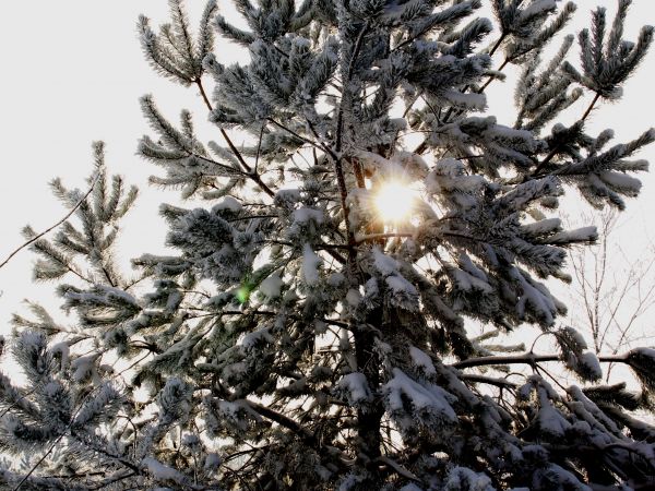 Zima 2010/11
       - 7 -