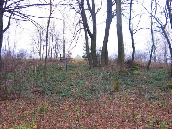 tu na wzniesieniu kiedyś cerkiew stała, parafialna, a wokół był cmentarz i jego ślady i miejsca pochówków pozostały, metalowe krzyże i kamienne nagrobki. Powier