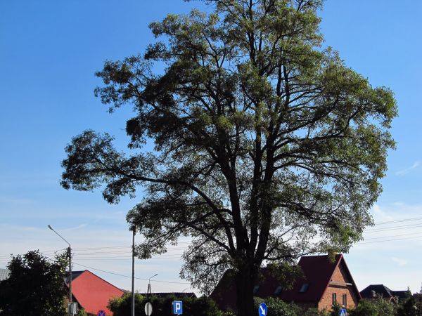 Centrum handlowe i zarazem centrum miasta przy drodze krajowej nr 22 (Gorzów - Elbląg).