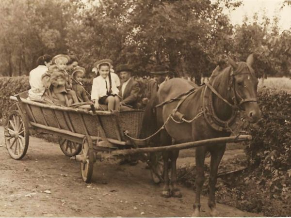 Kiedyś na dworzec kolejowy do Słotwiny tylko furmanką można było dojechać.Strzelce Wielkie lata 50.