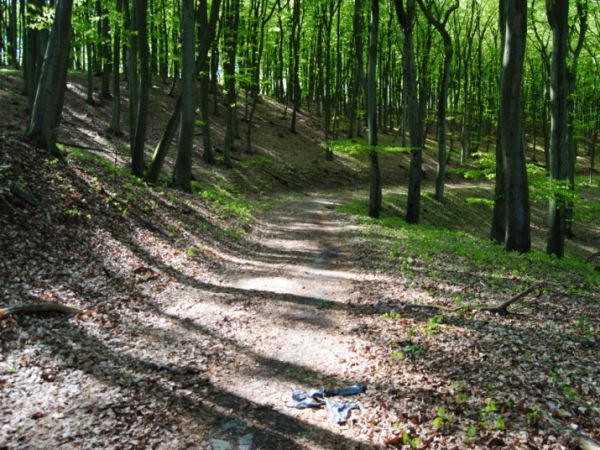 zdjecie Międzyzdroje