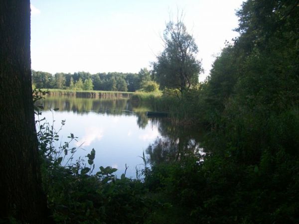 zdjecie Wólka Kątna