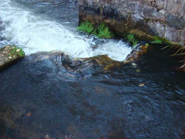 Rzeka Studnica i resztki po tkalni (chyba)