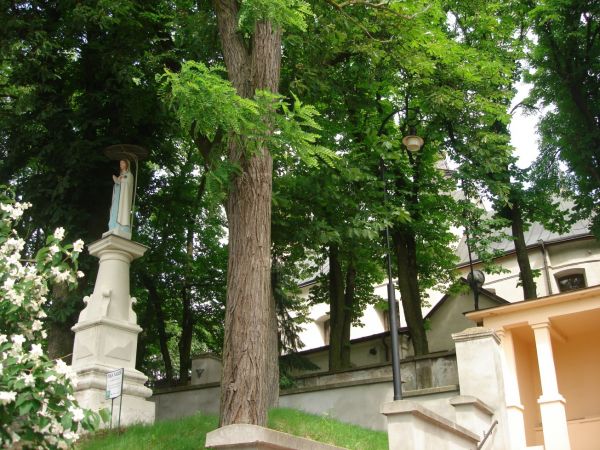 Kosciol z XVIII w. pod wezwaniem sw. Jana Chrzciciela