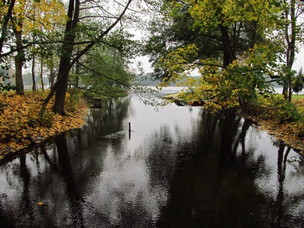 Rzeka Wda w jesiennej szacie w 2014 roku