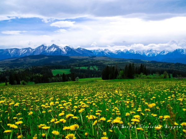zdjecie Szczawnica