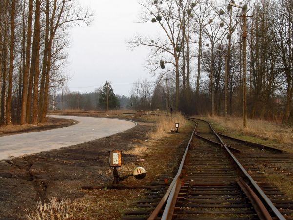 Budowa nowej drogi dojazdowej do zakładu płyt pilśniowych STEICO
