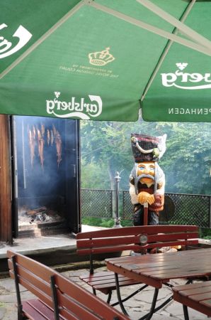 Galeria.  Salmopolska