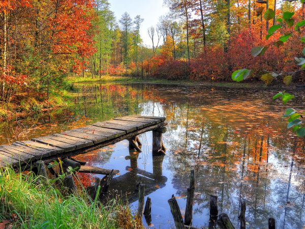 zdjecie Wodzisław Śląski