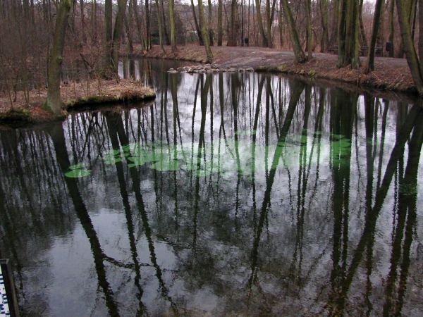 Ich urok polega na tym, że woda wybija z dna piasek, który widziany przez taflę wody posiada niepowtarzalną, zieloną barwę o różnych odcieniach, zależnie od war