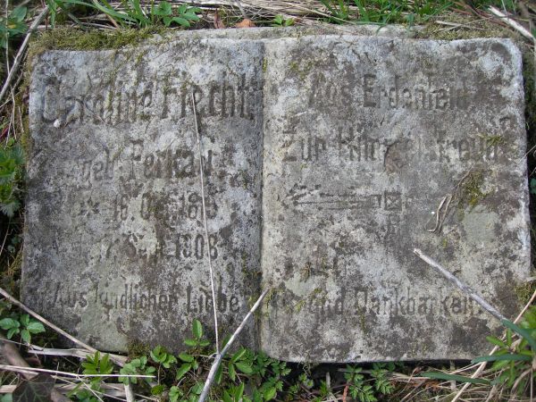 zdjecie Młynarska Wola