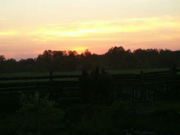 zdjecie Płatkownica