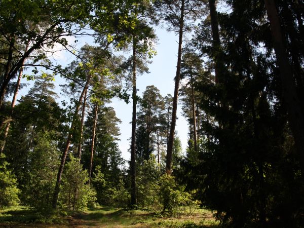 zdjecie Tyniewicze Duże