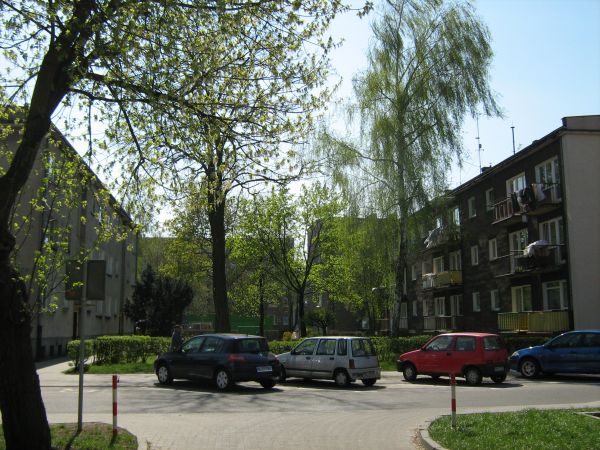 Wolsztyn, Osiedle mieszkaniowe, bloki.