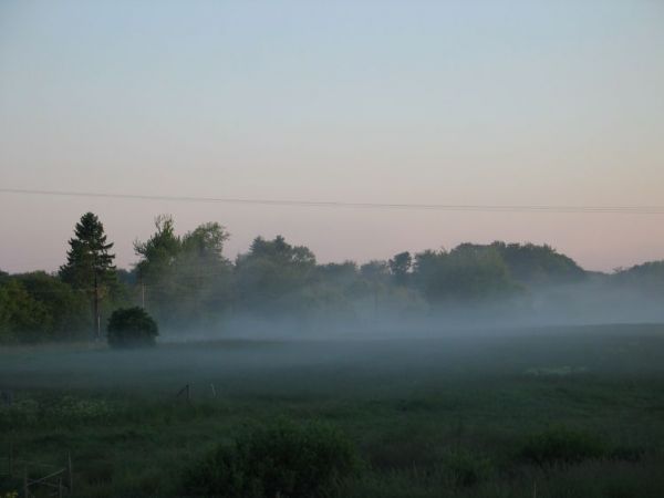 Mgła nad polami
