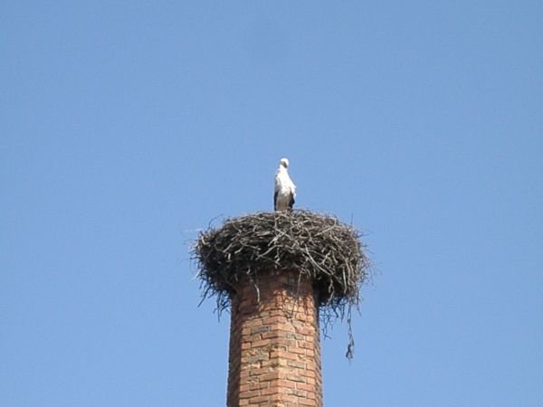 A komin po gorzelni został zamieszkały -))