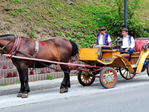 zdjecie Szczawnica