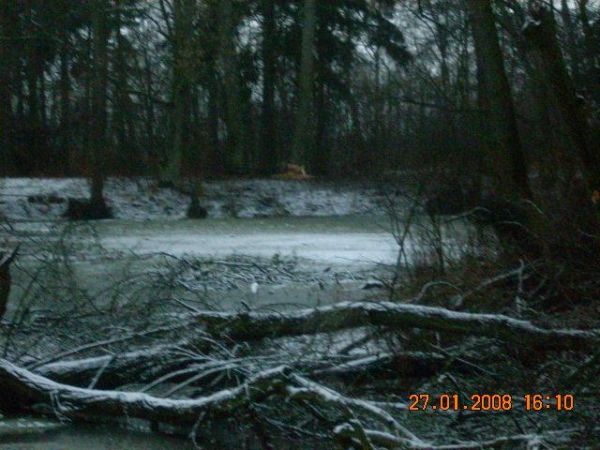 Jeden ze stawów w dawnym parku Dziedzica.