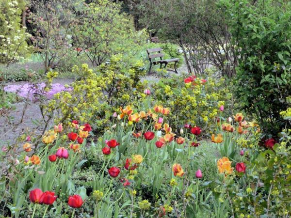 Zabrze - ogród botaniczny
